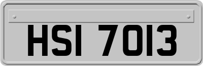 HSI7013