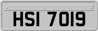 HSI7019