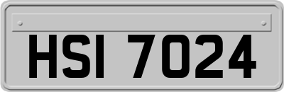 HSI7024