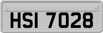 HSI7028