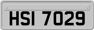 HSI7029
