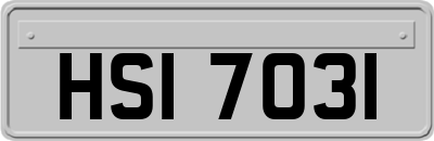 HSI7031