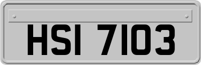 HSI7103