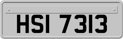 HSI7313