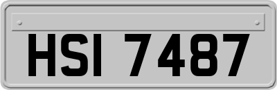 HSI7487