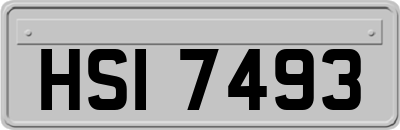 HSI7493