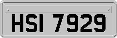 HSI7929