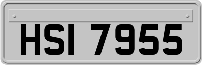 HSI7955
