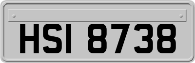 HSI8738