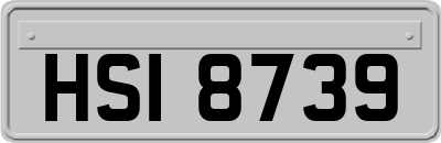 HSI8739