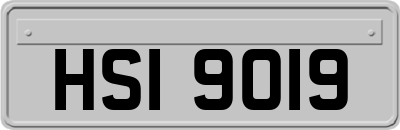HSI9019