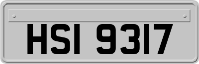 HSI9317