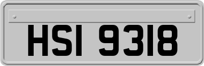 HSI9318