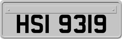 HSI9319