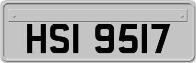 HSI9517