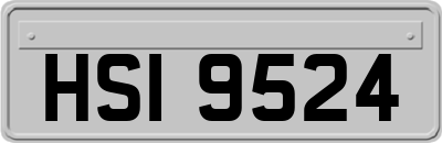 HSI9524