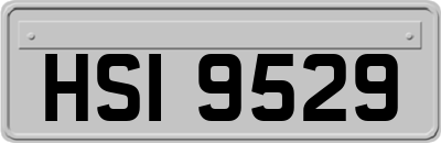 HSI9529