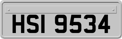 HSI9534