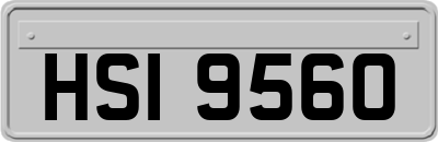HSI9560