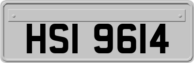 HSI9614