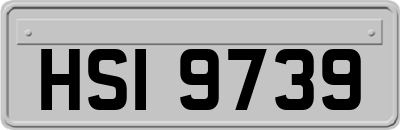 HSI9739