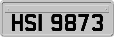 HSI9873