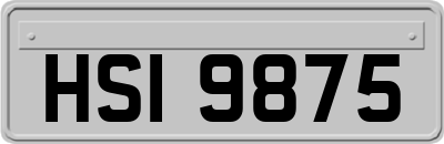 HSI9875