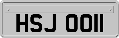 HSJ0011