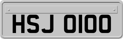 HSJ0100