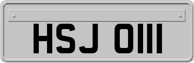 HSJ0111