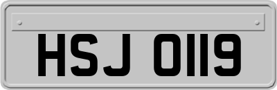 HSJ0119