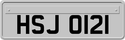 HSJ0121