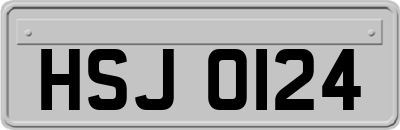 HSJ0124