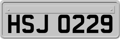HSJ0229