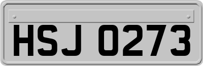 HSJ0273