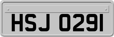 HSJ0291