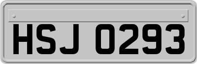 HSJ0293
