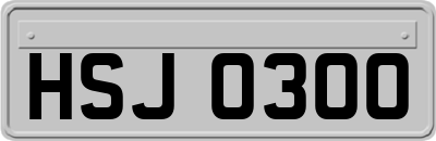 HSJ0300