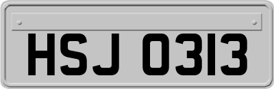 HSJ0313