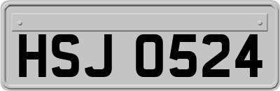 HSJ0524