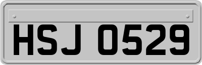 HSJ0529