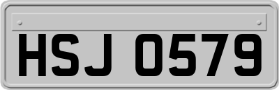 HSJ0579