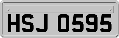 HSJ0595