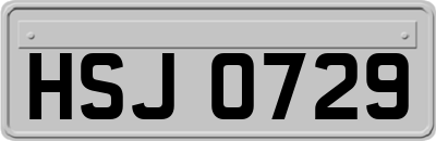 HSJ0729