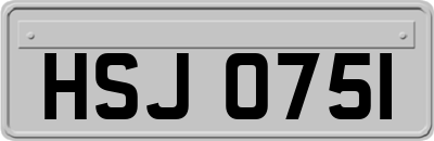 HSJ0751