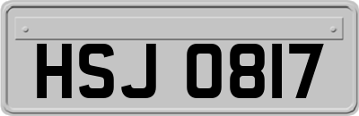 HSJ0817