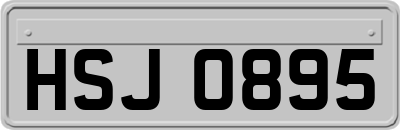 HSJ0895