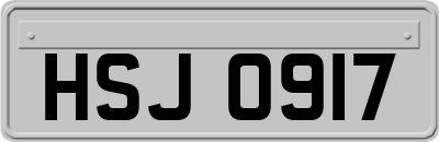 HSJ0917