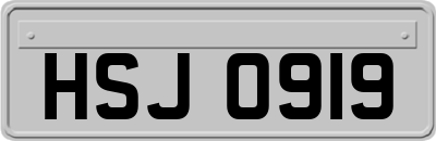 HSJ0919