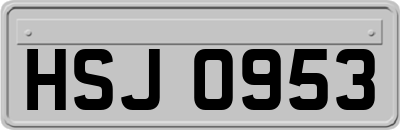 HSJ0953